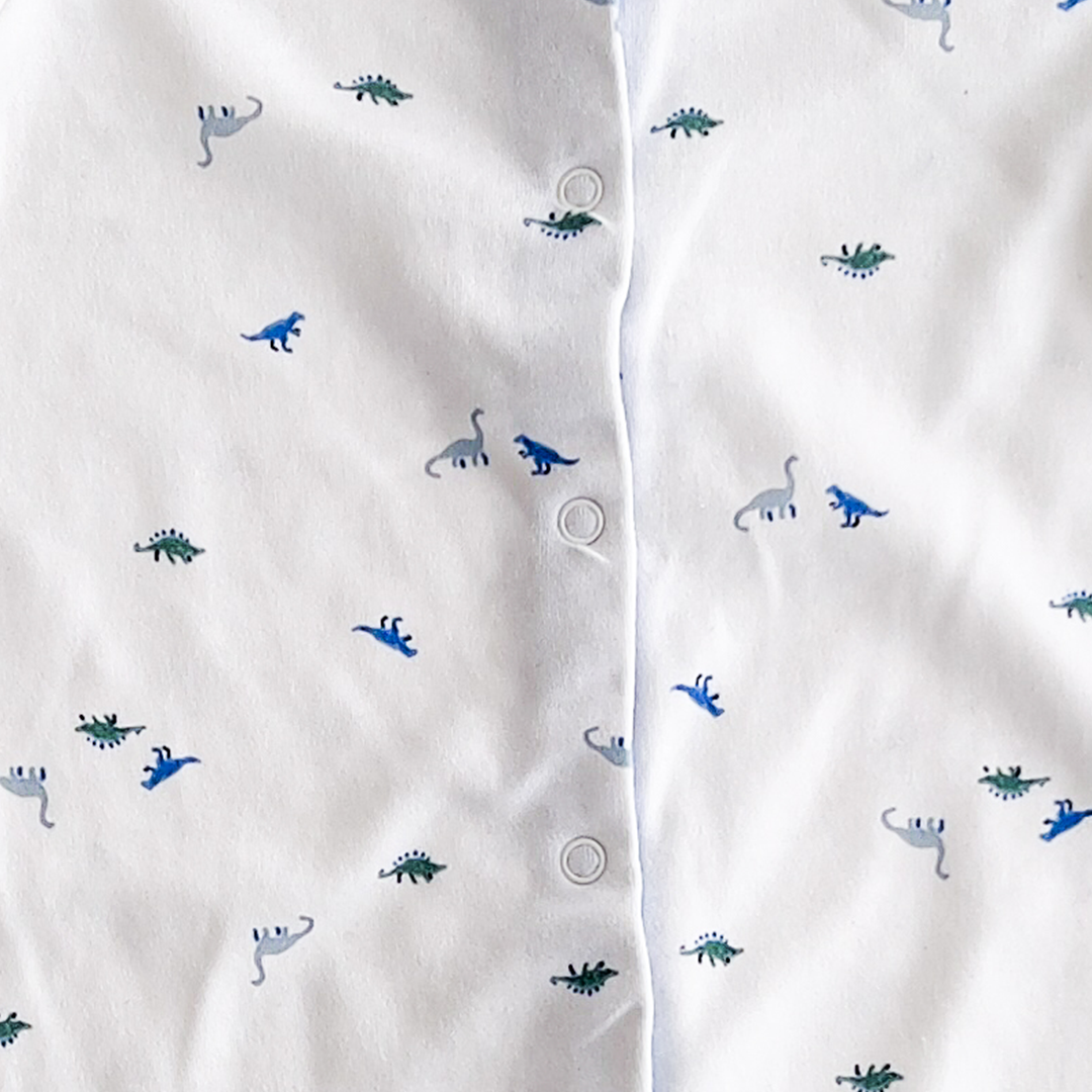 BLUE DINO  PRINTED SLEEPSUIT