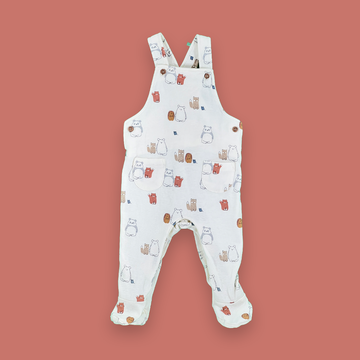 6-9 months dungaree