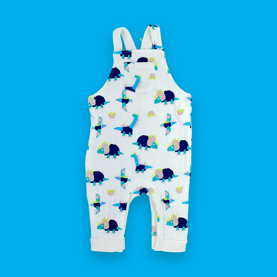 9-12 months dungaree