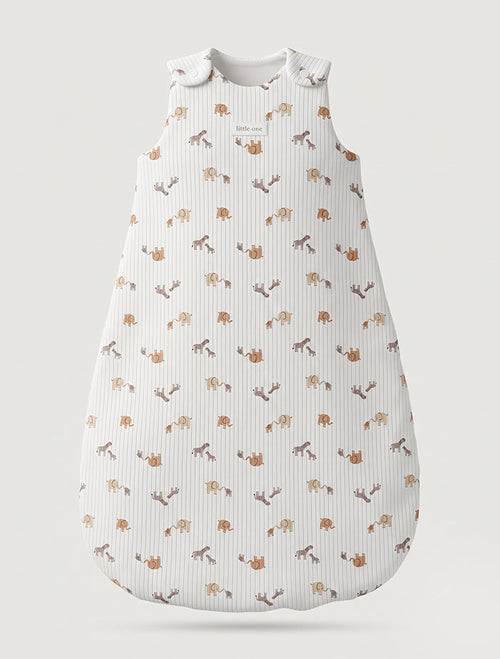 Little Explorer Sleep Bag