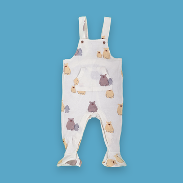 6-9 months dungaree