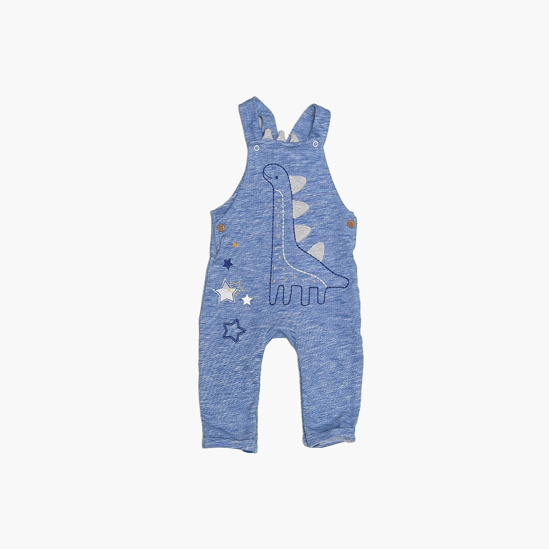 BLUE DINO PRINTED DUNGAREE