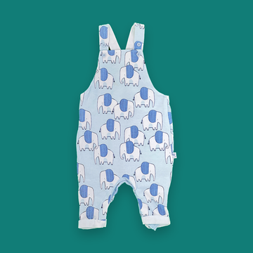 9-12 months dungaree