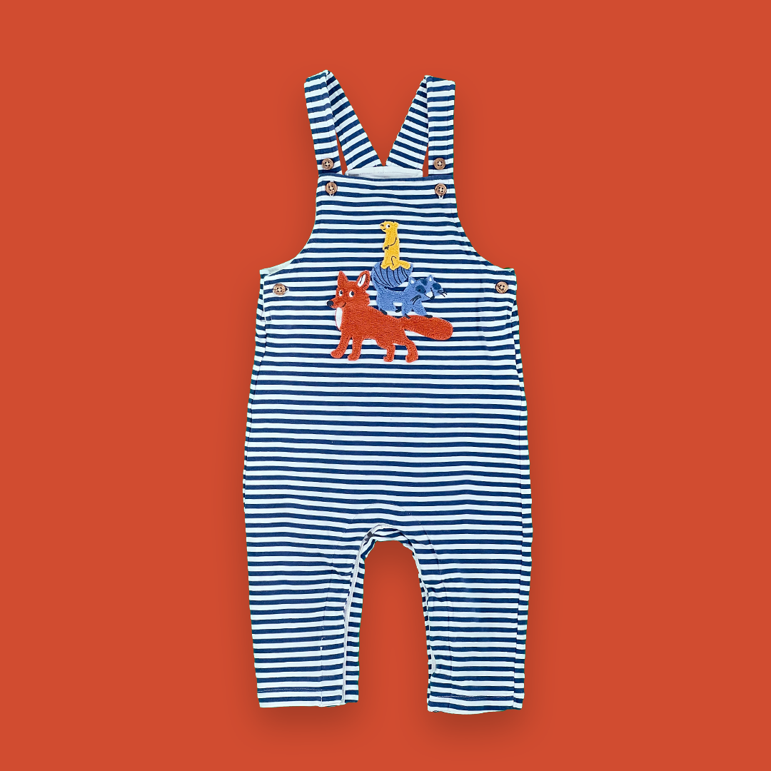 12-18 months dungaree