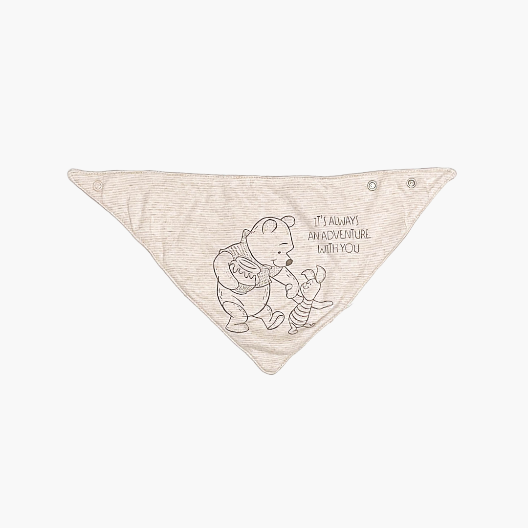 BEIGE PHOO PRINT BIBS