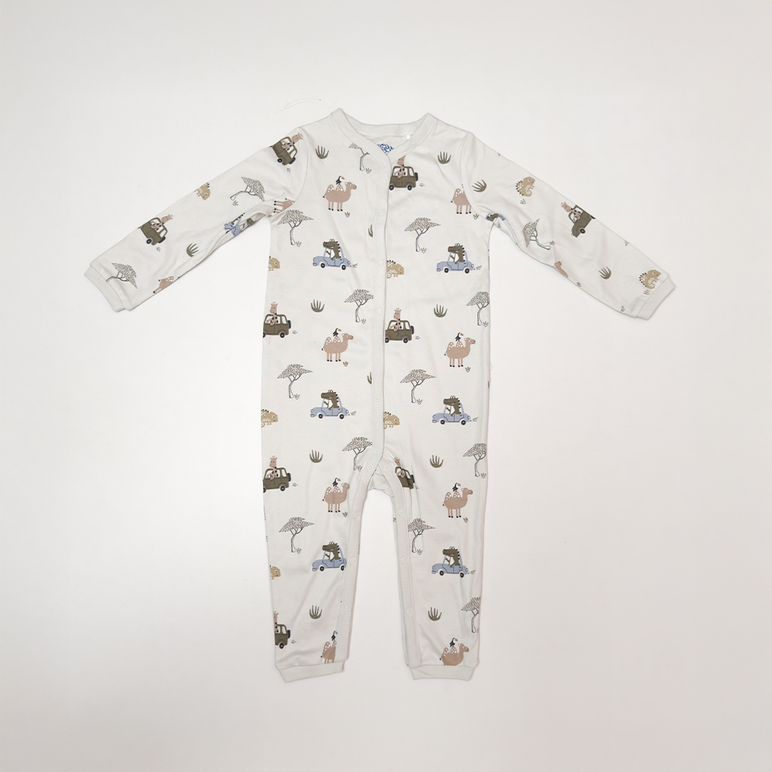 PISTACHIO BUTTON TYPE PRINTED ROMPER