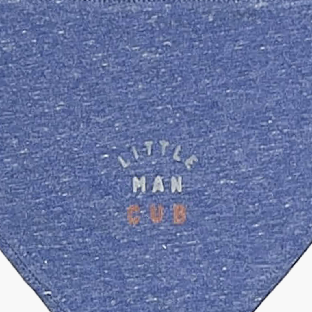 BLUE BANDANA BIBS