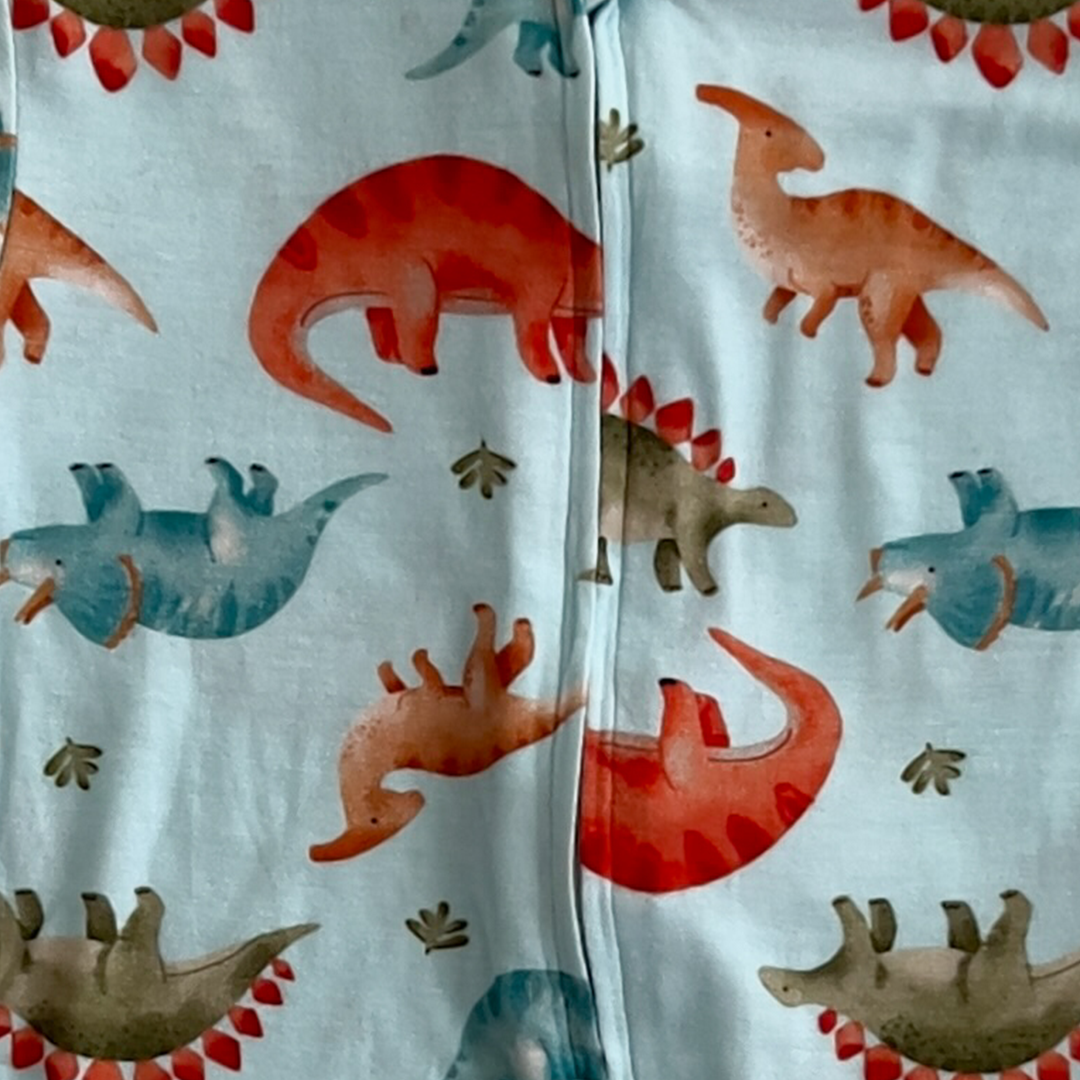DINOSAUR PRINTED BLUE JUMPSUIT