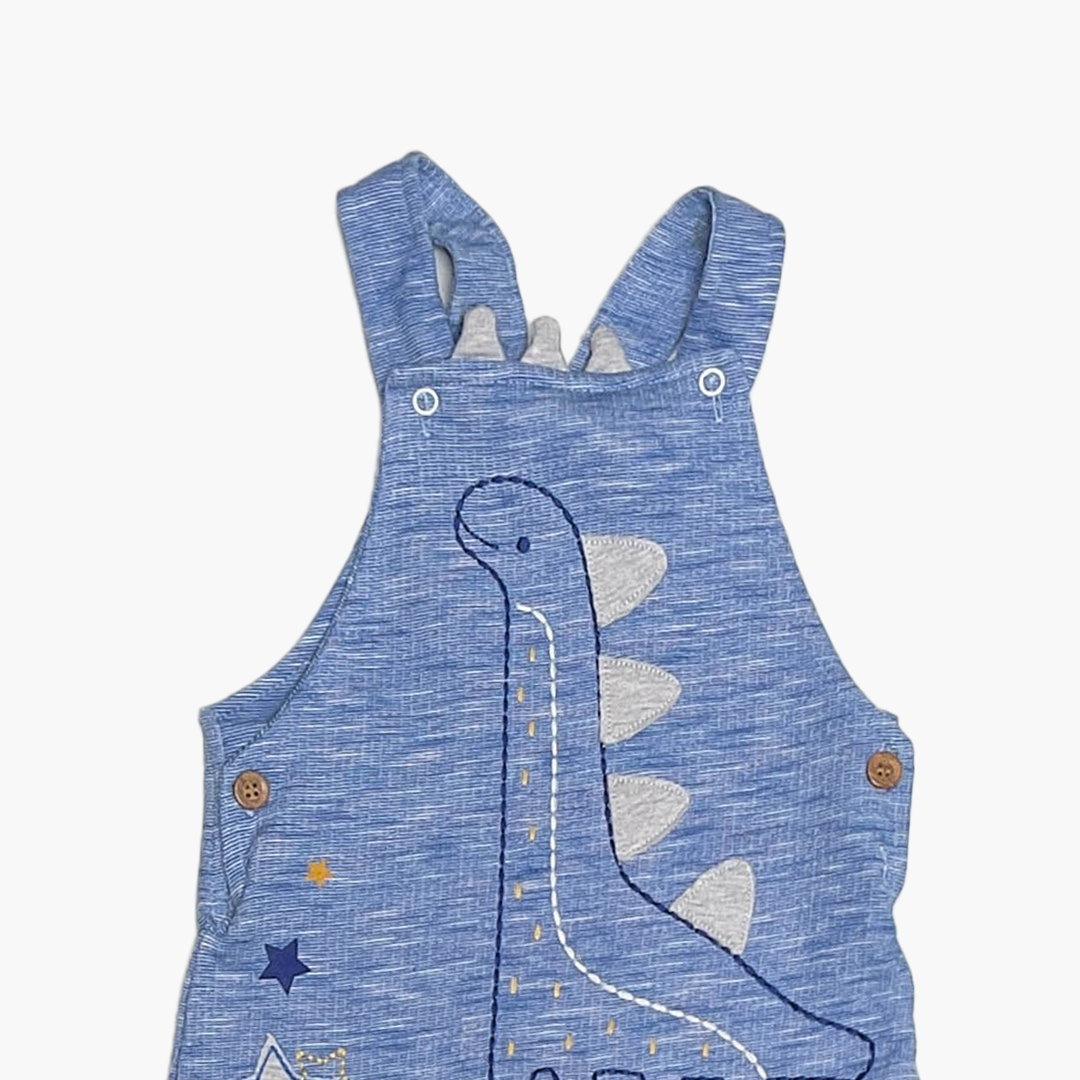 BLUE DINO PRINTED DUNGAREE