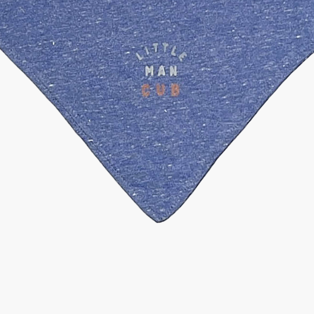 BLUE BANDANA BIBS