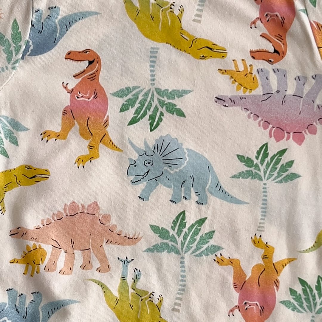 multi color dinosaur printed onesie