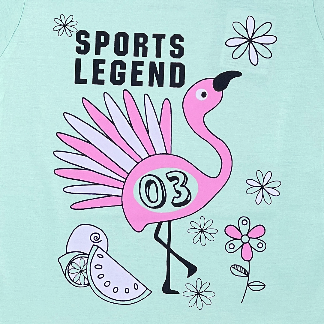 Pink Stork Printed Aqua Marine Color Two Piece for Girls